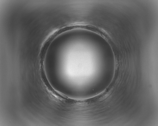 X0000067901406200604131342