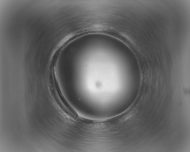 X0000067901410200604131342