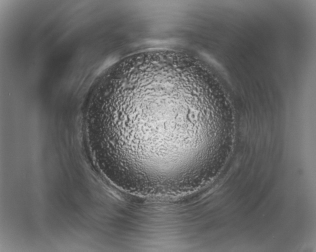 X0000067901411200604131342
