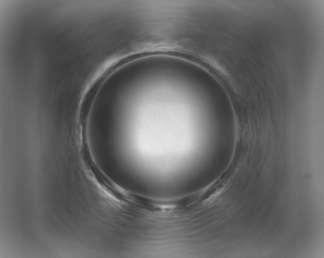 X0000067901414200604131342