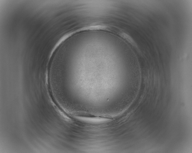 X0000067901420200604131342