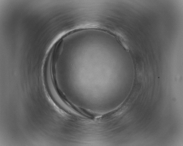 X0000067901422200604131342