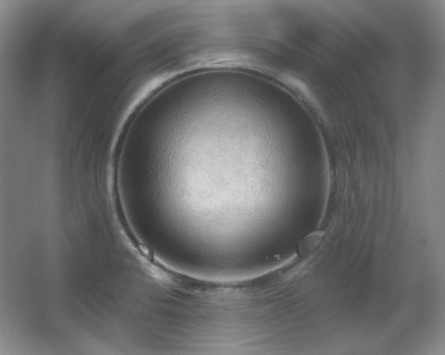 X0000067901424200604131343