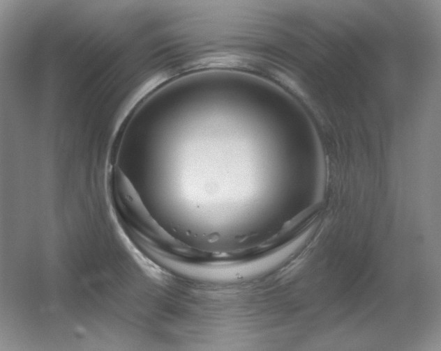X0000067901426200604131343