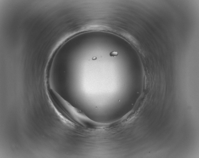X0000067901430200604131343