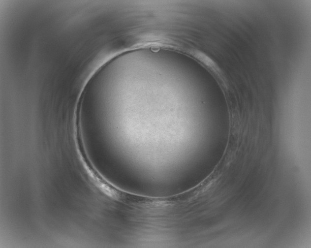 X0000067901431200604131343
