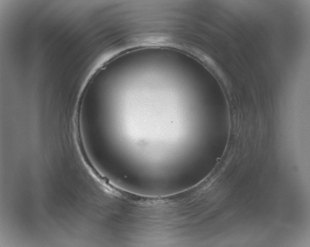 X0000067901432200604131343