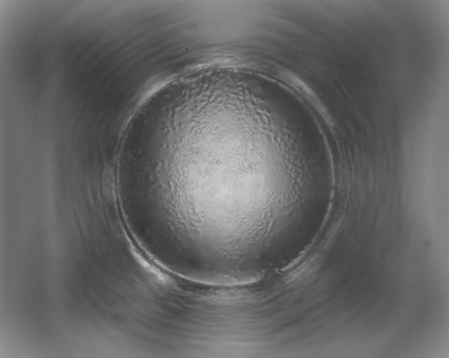 X0000067901433200604131343