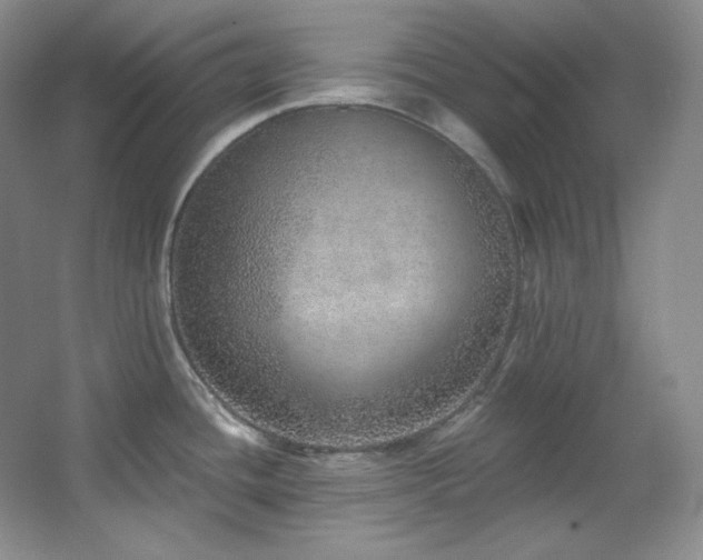 X0000067901436200604131343