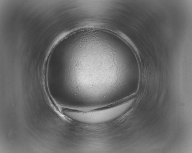 X0000067901437200604131343