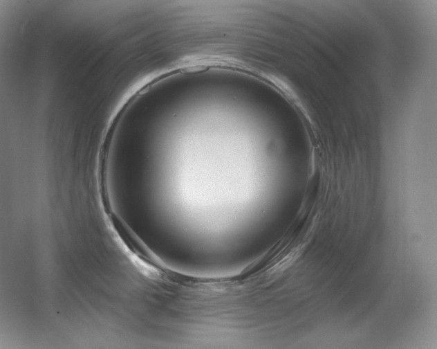 X0000067901438200604131343