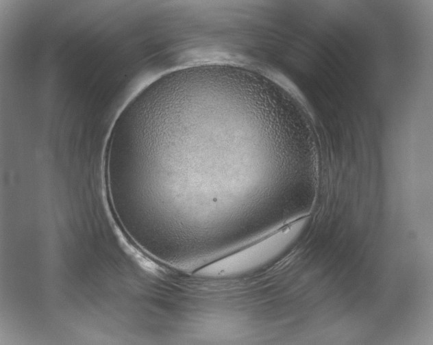 X0000067901439200604131343