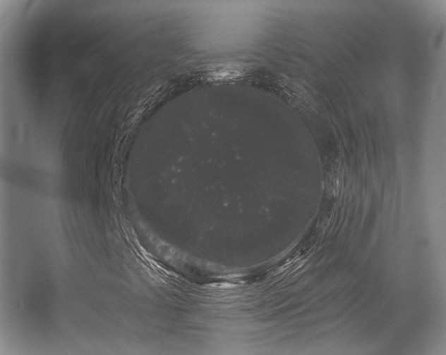 X0000067901441200604131342