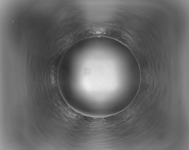 X0000067901442200604131342