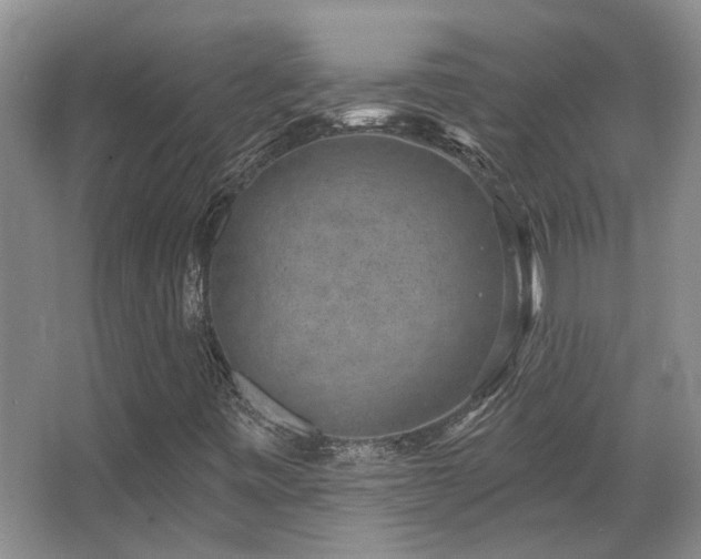 X0000067901443200604131342