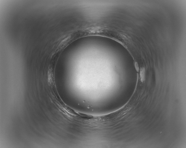 X0000067901444200604131342