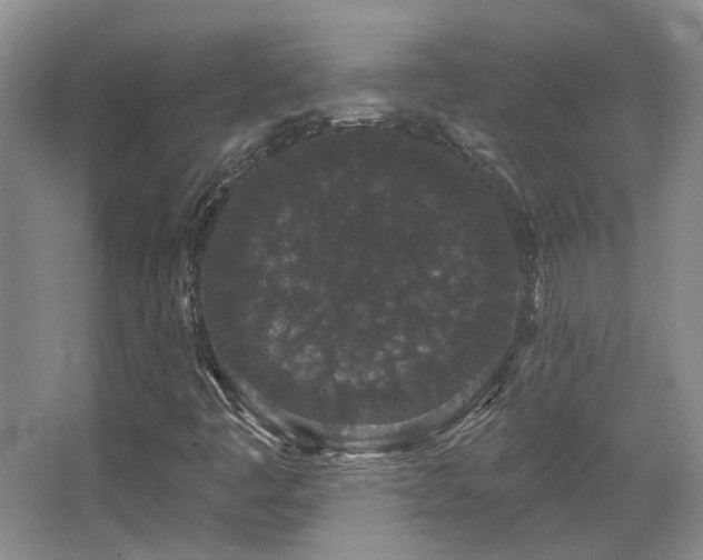 X0000067901445200604131342