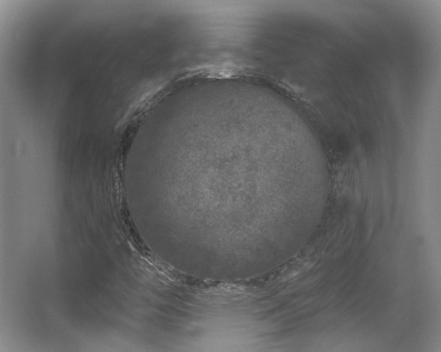X0000067901446200604131342