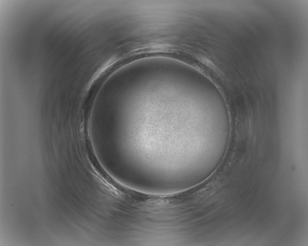 X0000067901450200604131342