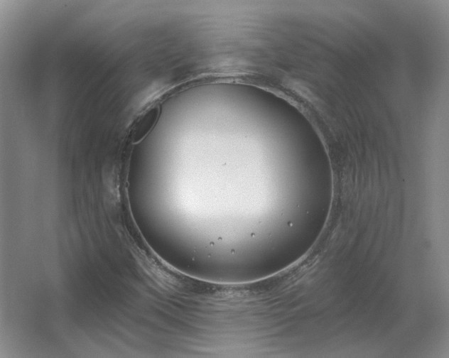 X0000067901451200604131342