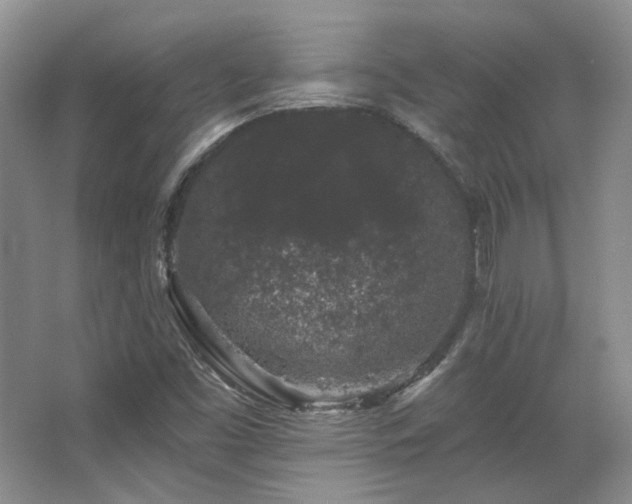 X0000067901453200604131342
