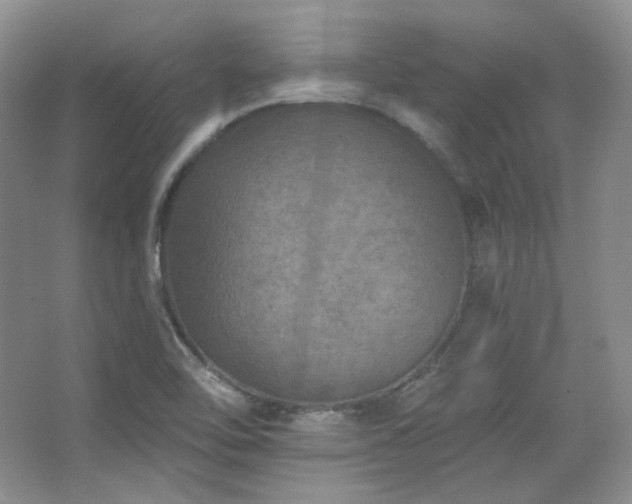 X0000067901462200604131342