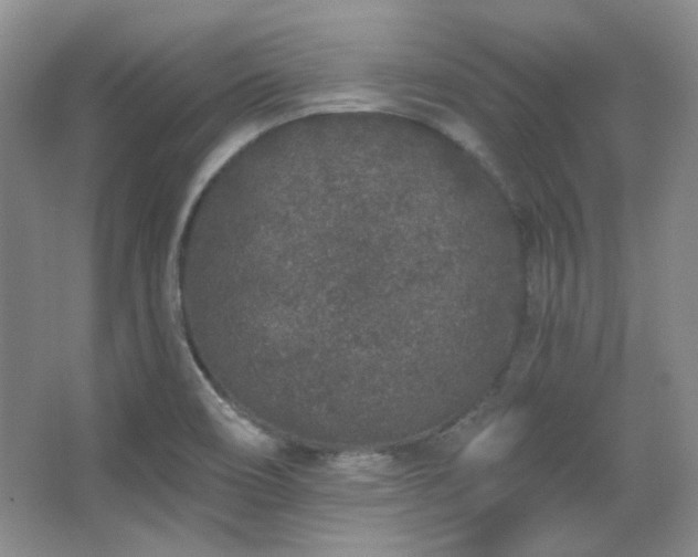 X0000067901466200604131342