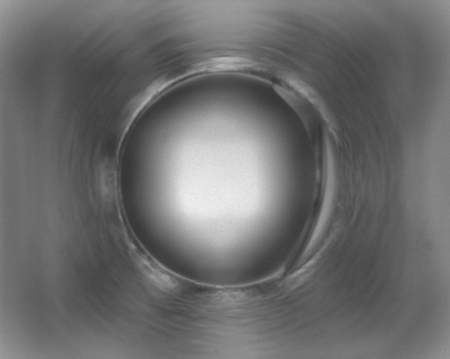 X0000067901473200604131341