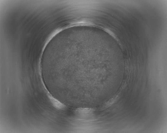 X0000067901474200604131341