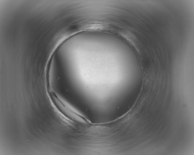 X0000067901475200604131341