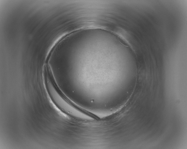 X0000067901476200604131341