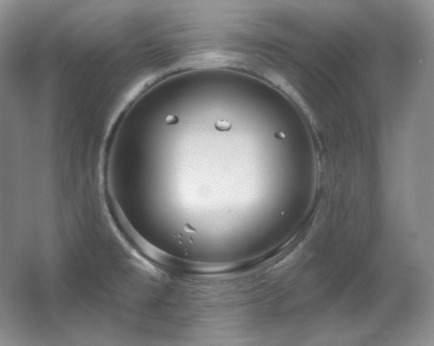 X0000067901477200604131341