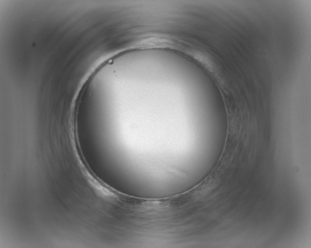 X0000067901478200604131341