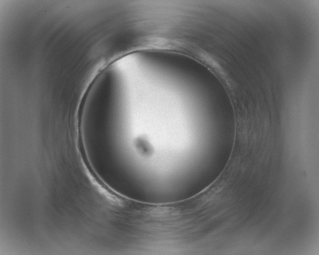 X0000067901479200604131341