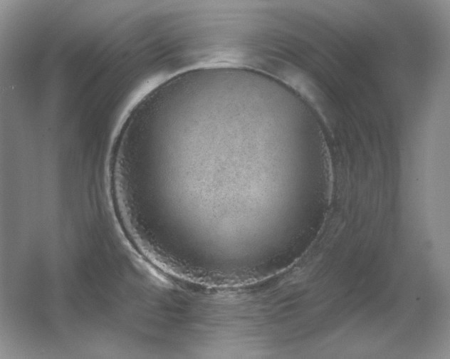 X0000067901480200604131341
