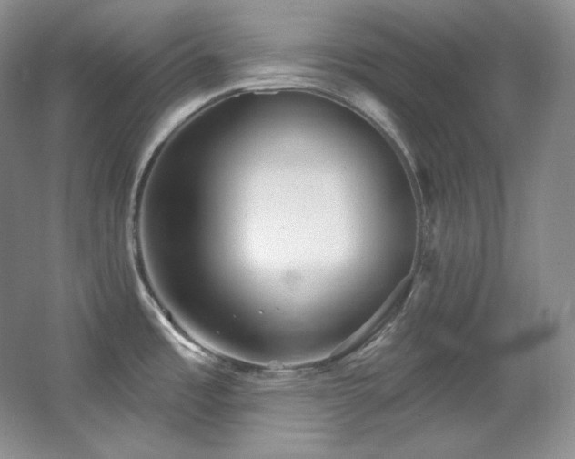 X0000067901485200604131341