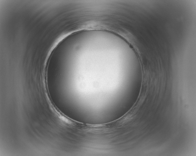 X0000067901486200604131341