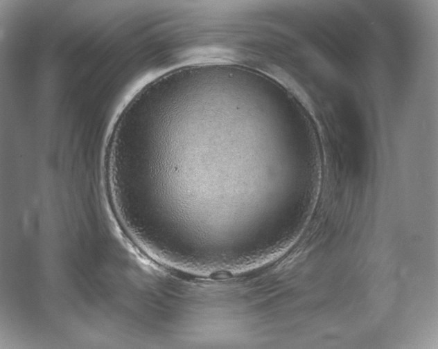 X0000067901488200604131341