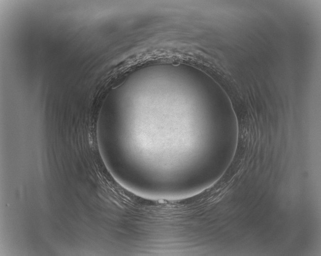 X0000067901490200604131340