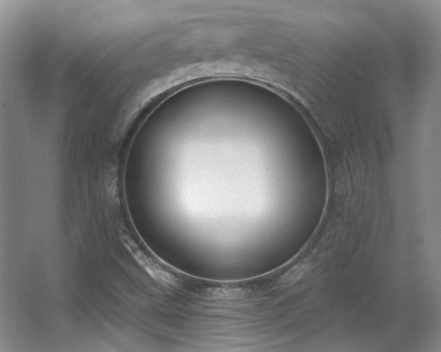 X0000067901499200604131341