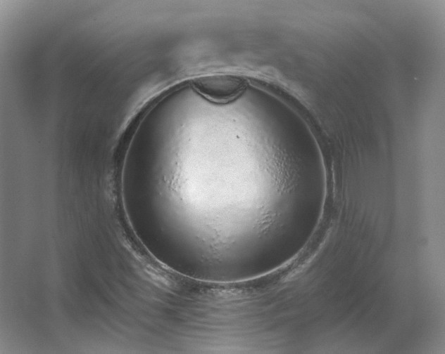X0000067901501200604131341
