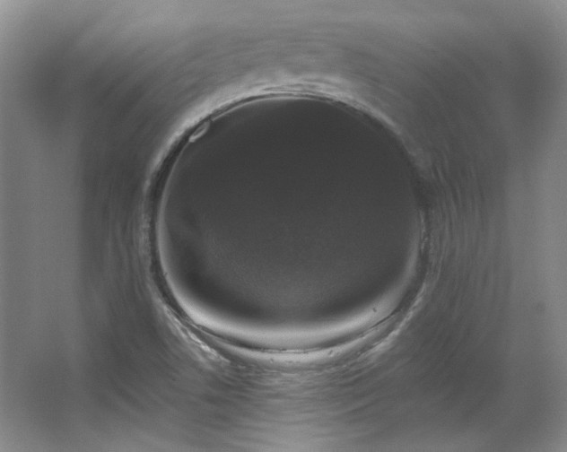 X0000067901506200604131341