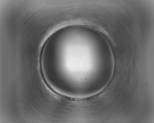 X0000067901512200604131341