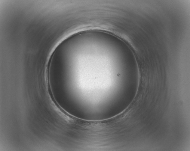 X0000067901516200604131341