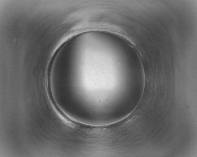 X0000067901523200604131341