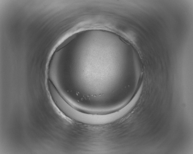 X0000067901528200604131341