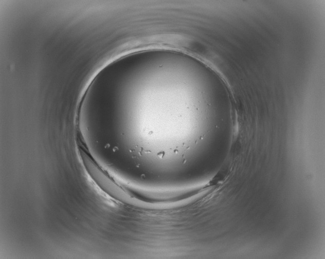 X0000067901532200604131341