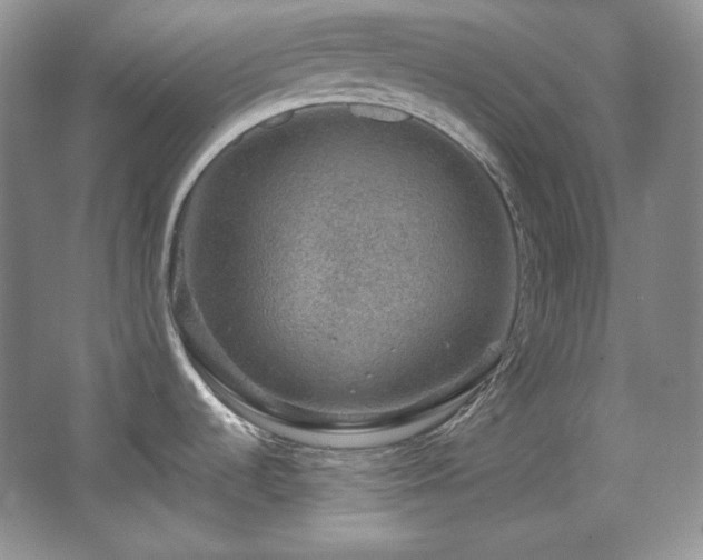 X0000067901536200604131341