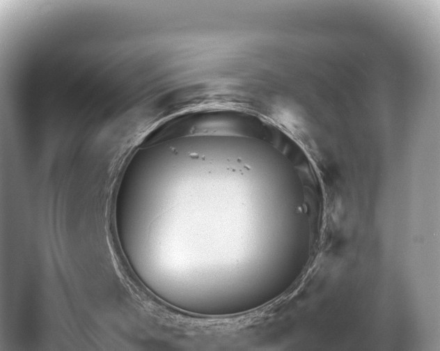 X0000067900001200604171415