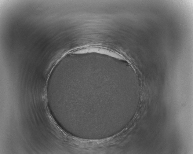 X0000067900002200604171415